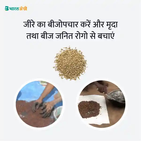 Cumin Suraksha Kit - Seed Treatment  (presowing-20-0days)3