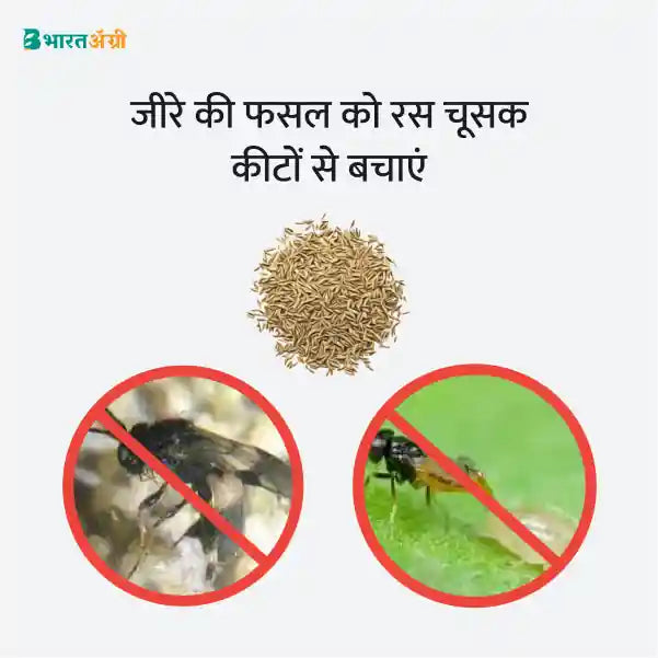 Cumin Suraksha Kit - Sucking Pest (0-40days) - Krushidukan_3