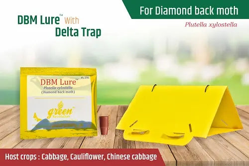 Delta Pheromone Trap with DBM Pheromone Lure - Krushidukan_1