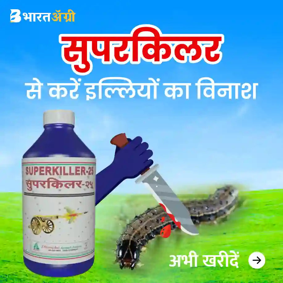 Dhanuka Superkiller Insecticide