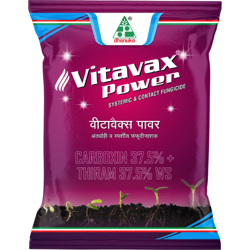Dhanuka Vitavax Power Carboxin 37.5% + Thiram 37.5% DS | Buy Now