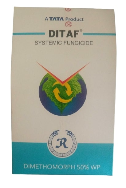 Tata Rallis Ditaf dimethomorph 50 % WP Fungicide - Krushidukan_1