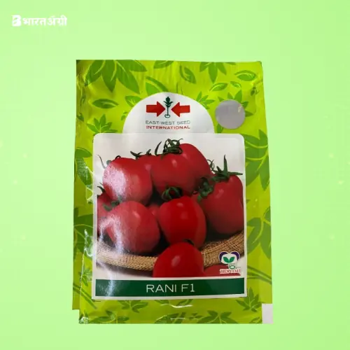 East West Rani F1 Hybrid Tomato Seeds | BharatAgri Krushidukan