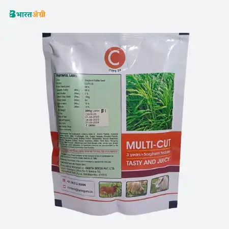 Farmguru C COFS 29 Sorghum Fodder Seeds | BharatAgi Krushidukan