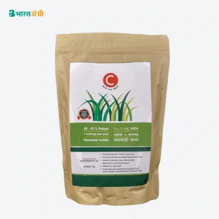 Farmguru C Desmanthus Fodder Seeds | BharatAgi Krushidukan