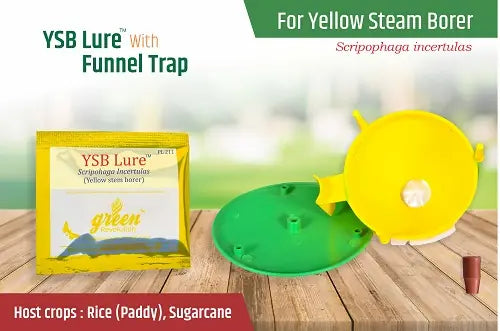 Green Revolution Funnel Trap + YSB Lure (Scirpophaga Incertulas)1