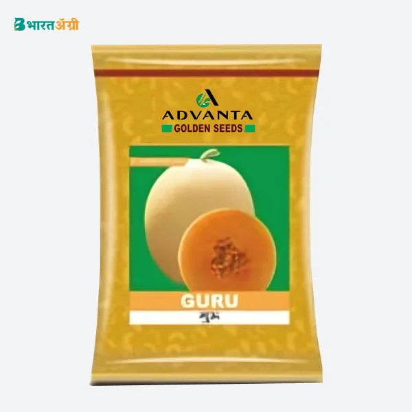 Advanta Guru Hybrid Muskmelon Fruit Seeds | BharatAgri