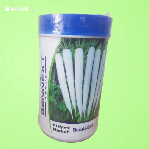 Gennext Suzuki 555 F1 Hybrid White Radish Seed | BharatAgri