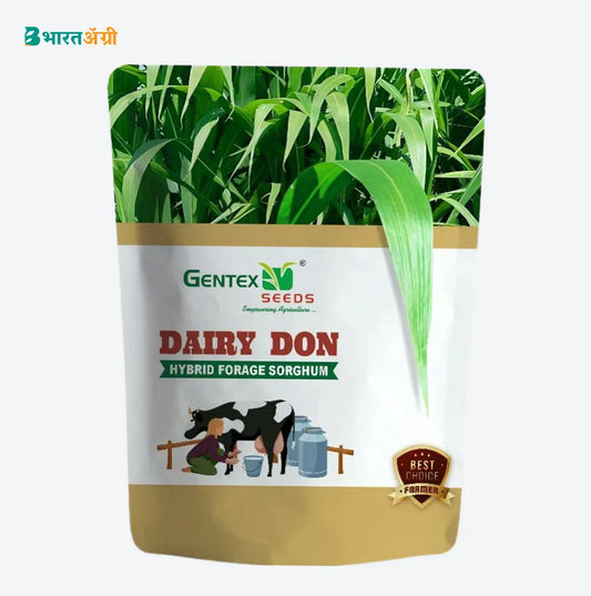 Gentex Dairy Don Hybrid Forage Sorghum | BharatAgri Krushidukan