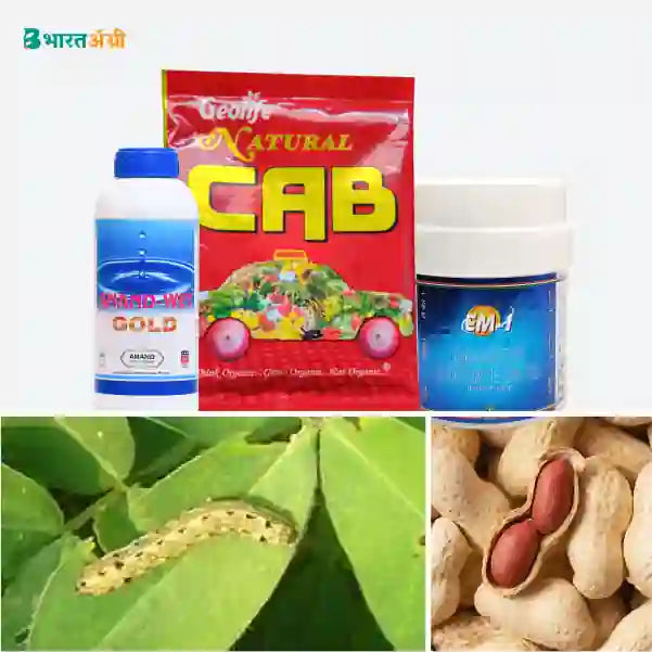 Groundnut Suraksha Kit - Leaf eating Caterpiller - BharatAgri Krushidukan
