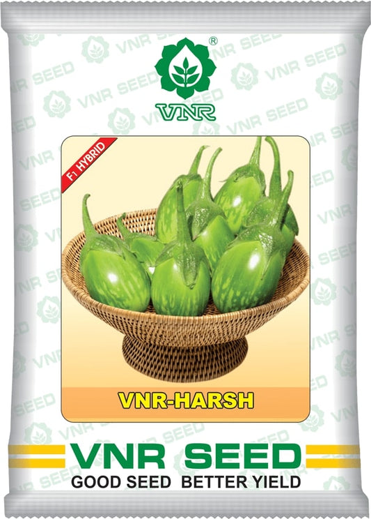 VNR Hybrid Harsh Brinjal Seeds - BharatAgri Krushidukan_1