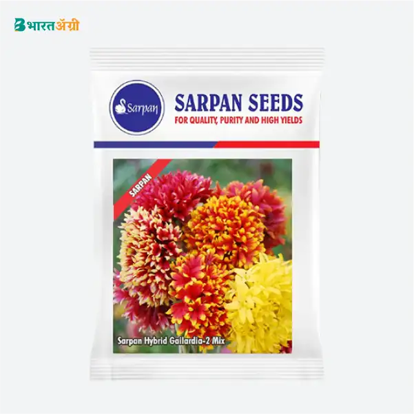 Sarpan Hybrid Gailardia - 2 Mix Flower Seeds - Krushidukan_1
