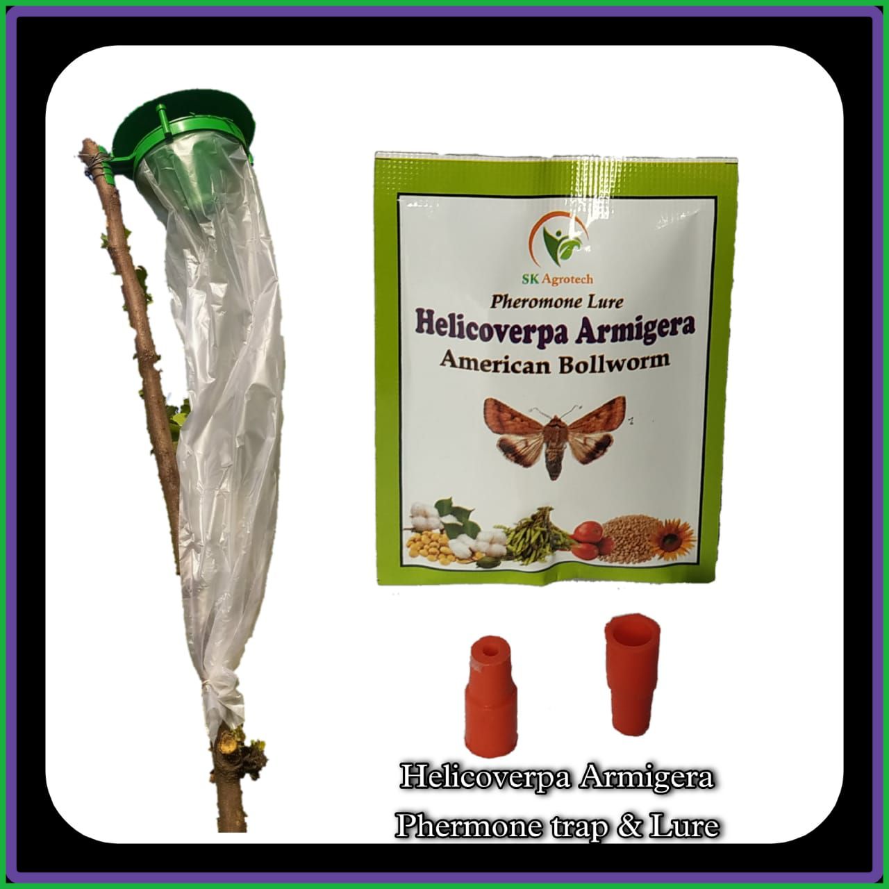 Funnel Trap And Helicoverpa Armigera Pheromone Lure For Tomato