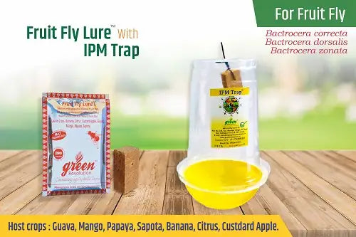 Green Revolution IPM Trap + Fruit Fly Lure - BharatAgri Krushidukan_1