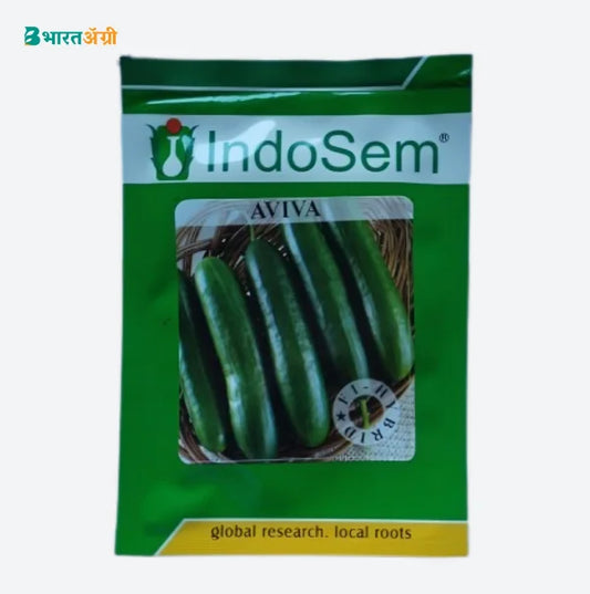 Indosem Aviva Cucumber Seeds | BharatAgri Krushidukan