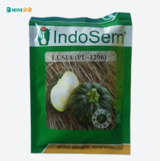 Indosem Lusia (PU-1296) Pumpkin Seeds | BharatAgri Krushidukan