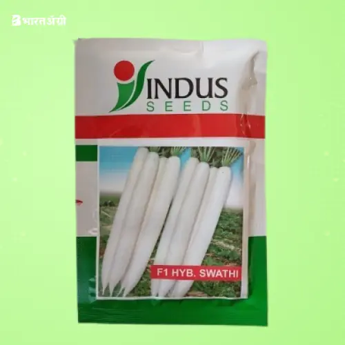 Indus Seeds Swathi F1 Hybrid Radish Seed | BharatAgri Krushidukan