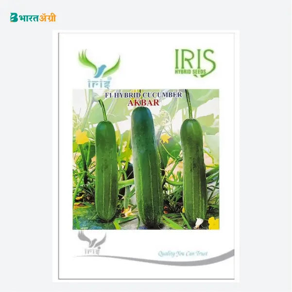Iris Akbar F1 Cucumber Seeds - BharatAgri Krushidukan