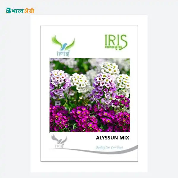 Iris Imported Alyssum Mix Flower Seeds - BharatAgri