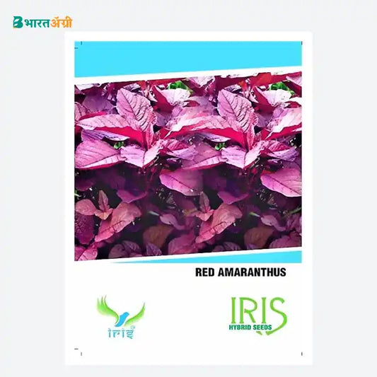 Iris Hybrid Vegetable Seeds Amaranthus Red - BharatAgri Krushidukan