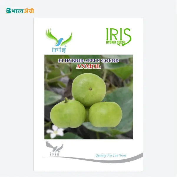 Iris Anmol F1 Apple Gourd (Tinda) Seeds - BharatAgri
