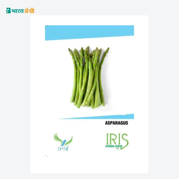 Iris Imported Asparagus Vegetable Seeds - BharatAgri
