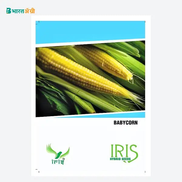 Iris Hybrid Vegetable Seeds Baby Corn - BharatAgri Krushidukan