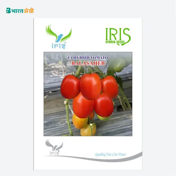 Iris Balasaheb F1 Tomato Seeds - BharatAgri Krushidukan