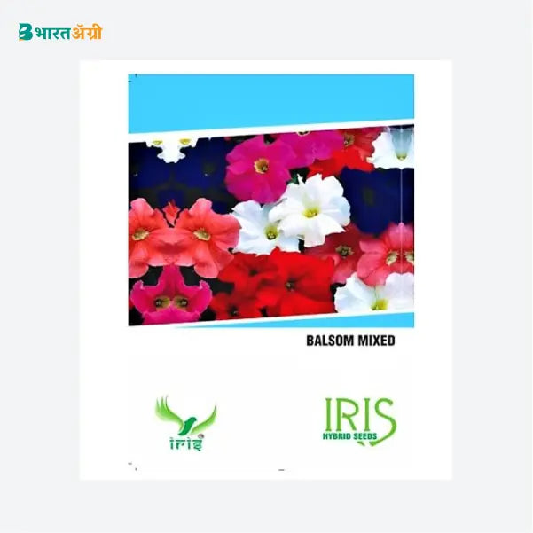 Iris Hybrid Flower Seeds Balsam Mix - BharatAgri Krushidukan