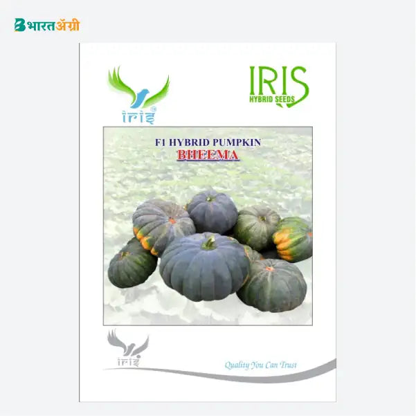 Iris Bheema F1 Pumpkin Seeds - BharatAgri Krushidukan