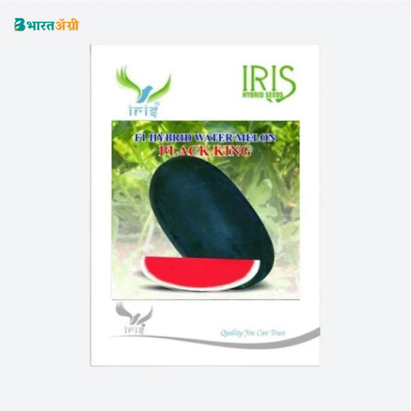 Iris Hybrid Fruit Seeds F1 Hybrid Watermelon Black King - BharatAgri