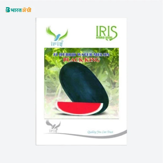 Iris Hybrid Fruit Seeds F1 Hybrid Watermelon Black King - BharatAgri