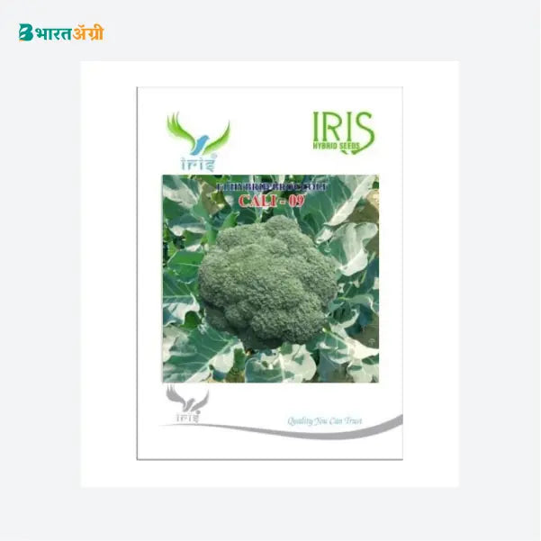 Iris Hybrid Vegetable Seeds F1 Hybrid Broccoli Cali-09 - BharatAgri
