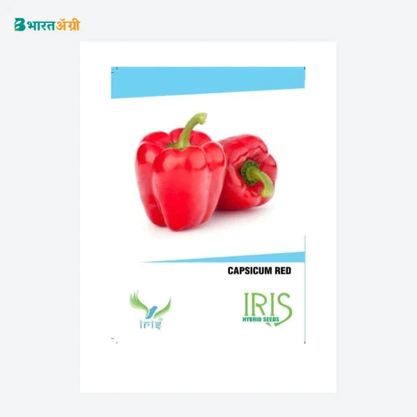 Iris Imported Red Capsicum Seeds - BharatAgri Krushidukan