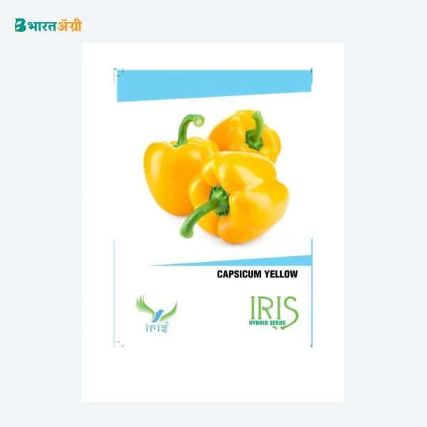 Iris Imported Yellow Capsicum Seeds - BharatAgri