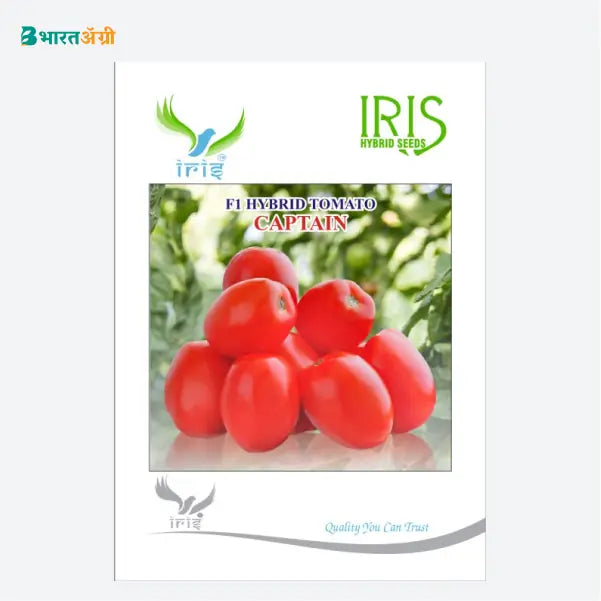 Iris Captain (Heat) F1 Tomato Seeds - BharatAgri