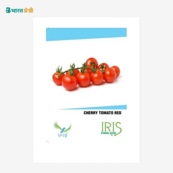 Iris Imported Cherry Tomato Red Seeds - BharatAgri