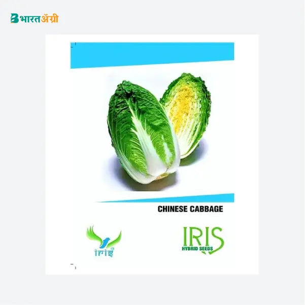 Iris Hybrid Chinese Cabbage Vegetable Seeds - BharatAgri Krushidukan