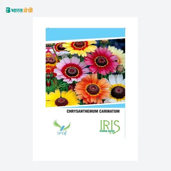 Iris Imported Chrysanthemum Carinatum Seeds - BharatAgri