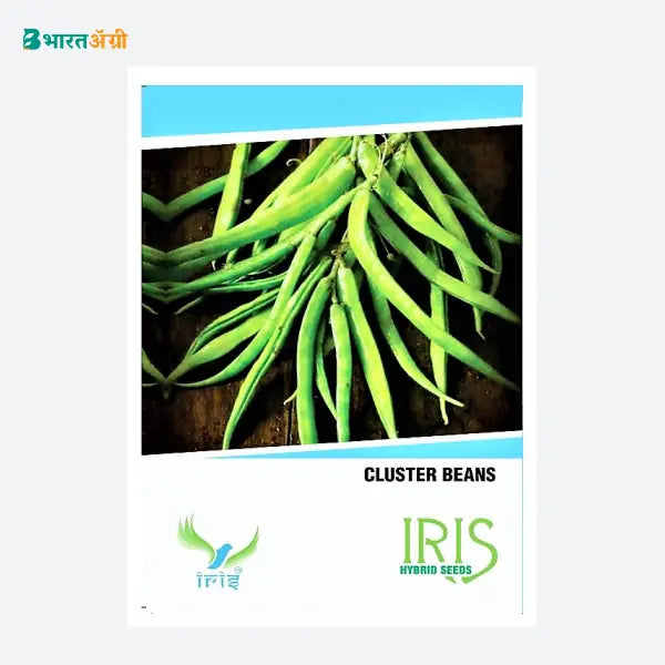 Iris Hybrid Cluster Beans Vegetable Seeds - BharatAgri Krushidukan