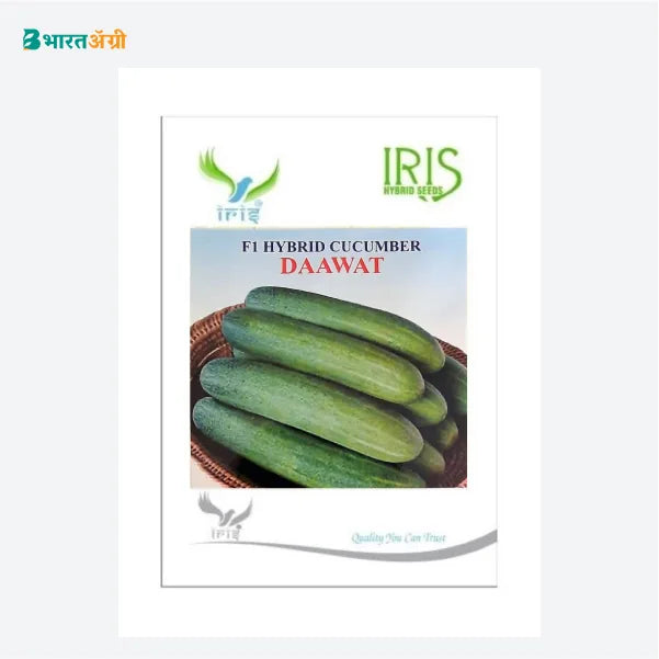 Iris Dawat F1 Cucumber Seeds - BharatAgri Krushidukan