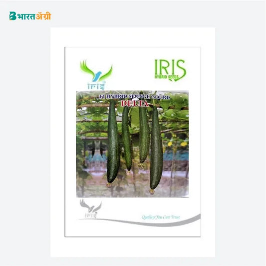 Iris Delta F1 Sponge Gourd Seeds - BharatAgri Krushidukan