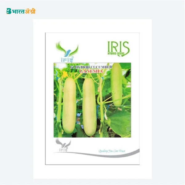 Iris Ganesha F1 Cucumber Seeds - BharatAgri Krushidukan