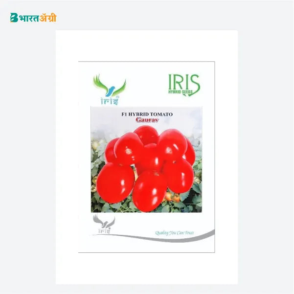 Iris Gaurav F1 Tomato Seeds - BharatAgri Krushidukan