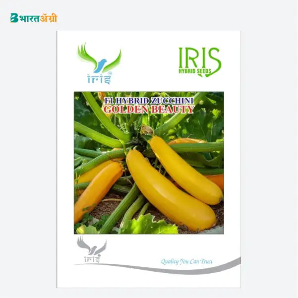 Iris Golden Beauty F1 Zucchini Seeds - BharatAgri