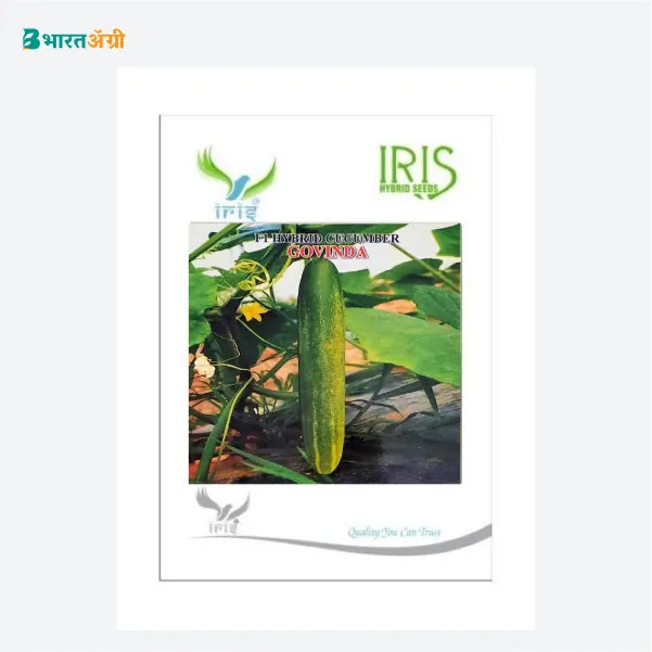 Iris Govinda F1 Cucumber Seeds - BharatAgri Krushidukan