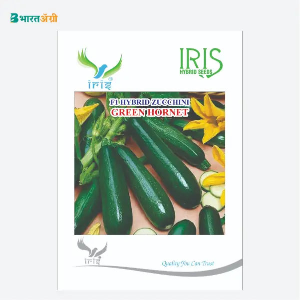 Iris Green Hornet F1 Zucchini Seeds - BharatAgri