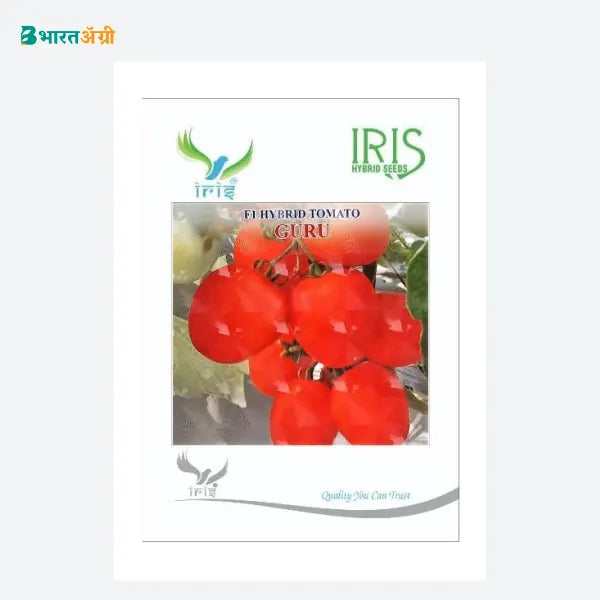 Iris Guru F1 Tomato Seeds - BharatAgri Krushidukan