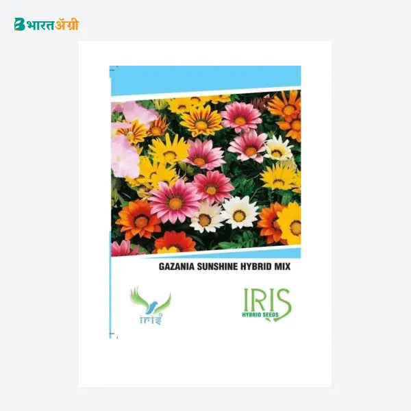 Iris Imported Gazania Sunshine Mix Flower Seeds: BharatAgri