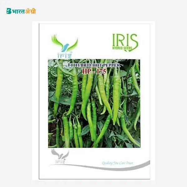 Iris HP 175 F1 Hot Pepper Seeds - BharatAgri Krushidukan